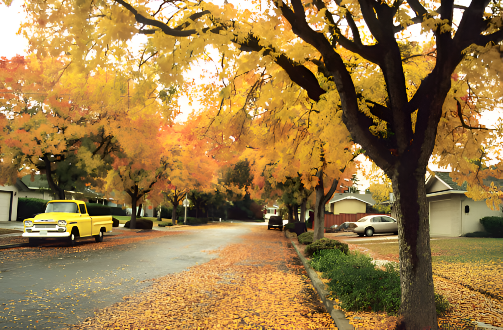 A peaceful neighborhood street in Cupertino, CA, featuring homes, cars, and seasonal fall foliage.