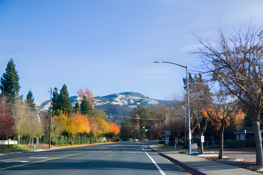 Danville, California, street view featuring a well-maintained neighborhood, tree-lined streets, and a mountain in the distance.