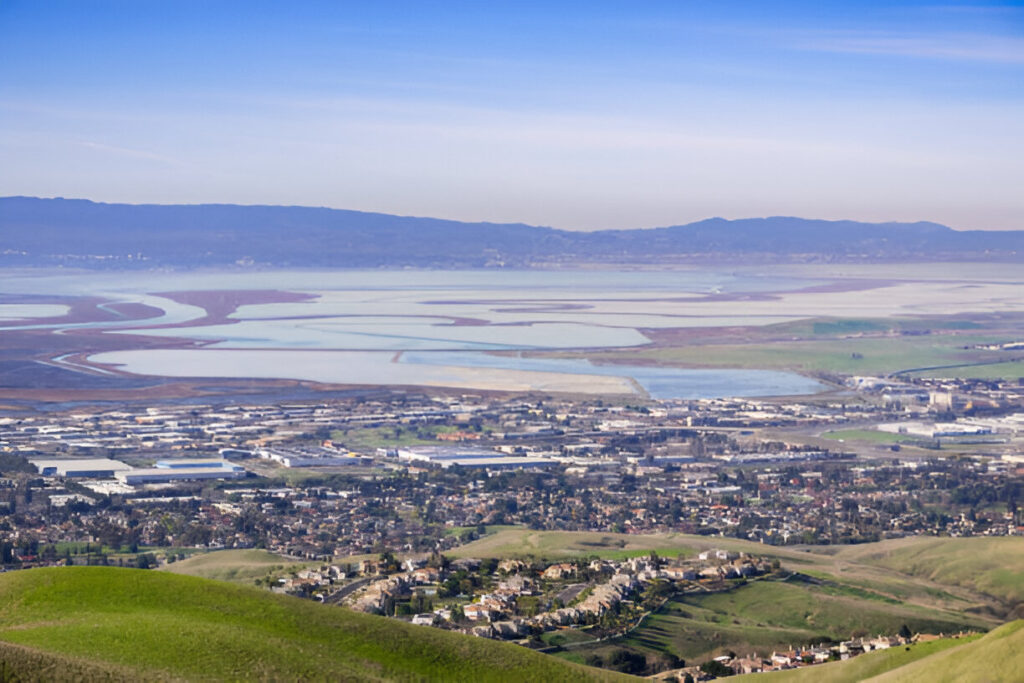 Overlooking Milpitas, CA, from a hilltop, capturing suburban homes, greenery, and a thriving real estate market.