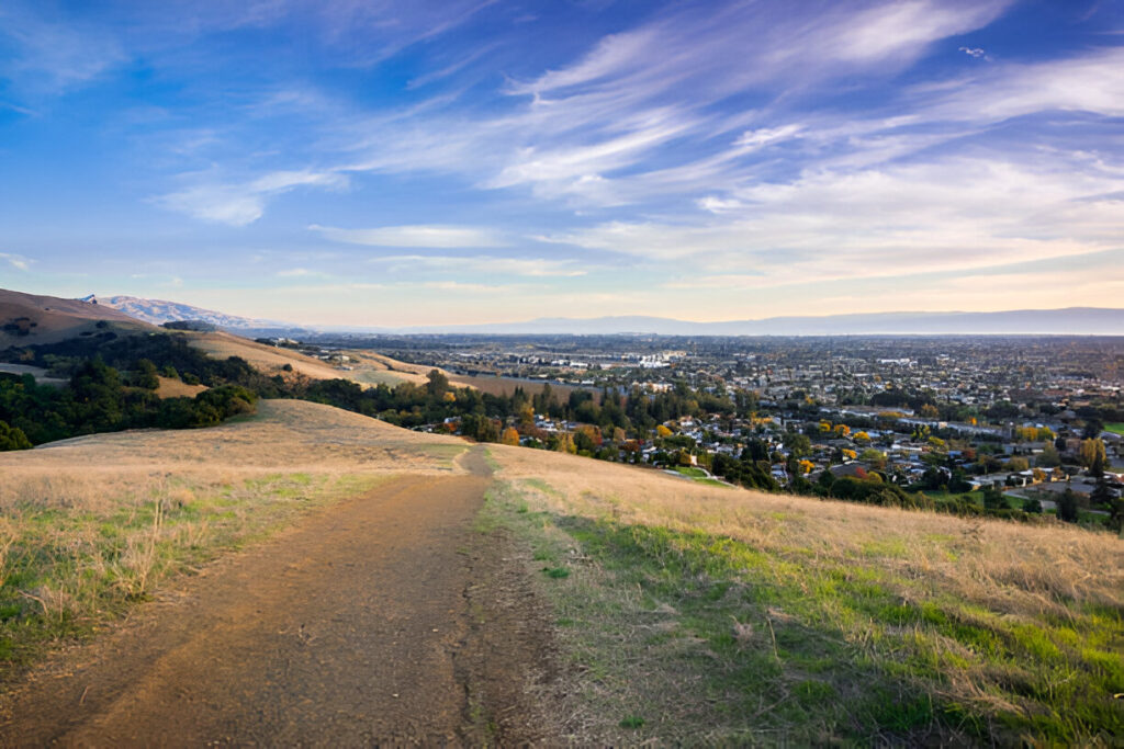 Union City, CA. view, showcasing a residential neighborhood with modern homes and a thriving real estate market.